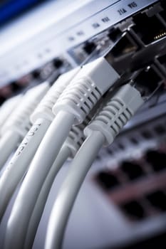 Network cable connected to a switch