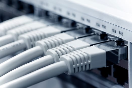 Network cable connected to a switch
