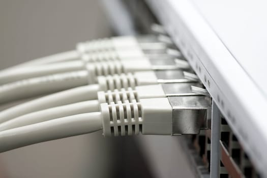 Network cable connected to a switch