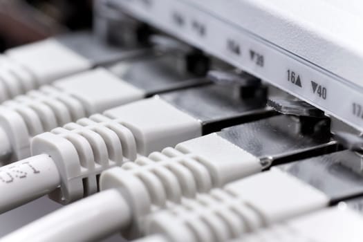 Network cable connected to a switch