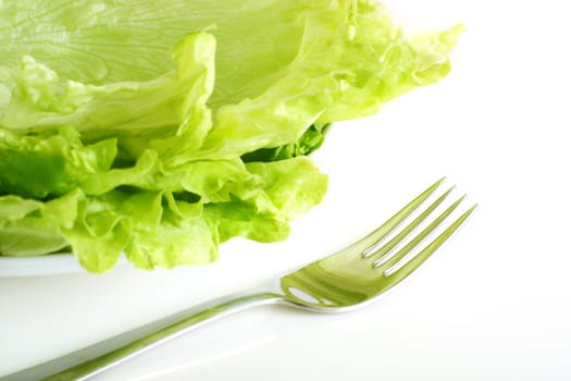 Healthy nutrition