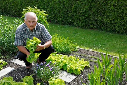 Senior in the garden