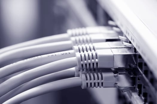 Network cable connected to a switch