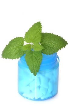 Peppermint Chewing Gum