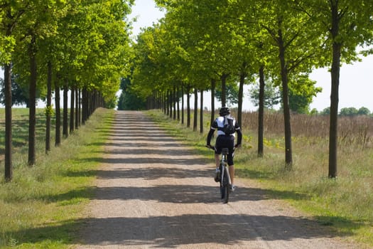 Road cyclists