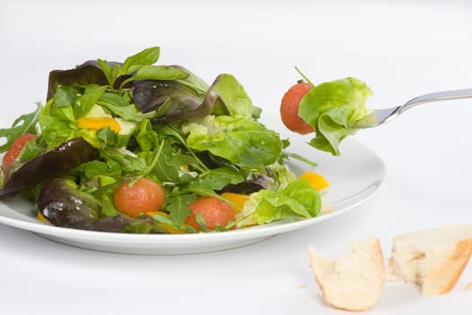 Salad with tomato
