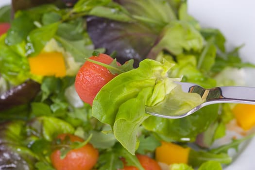 Fork with salad