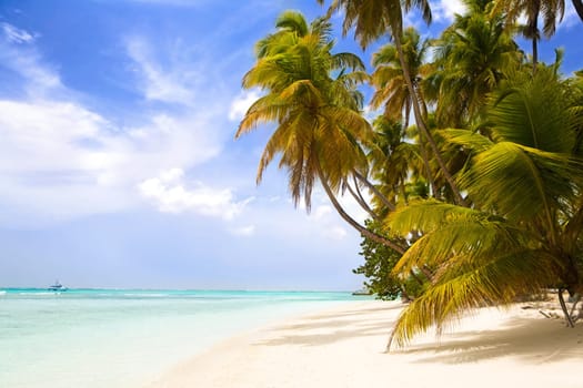 Paradise Beach