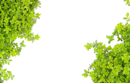 Green nature motive