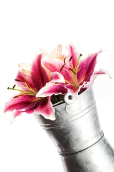 Lilies in a bucket
