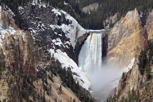 yellowstone national park - lower falls