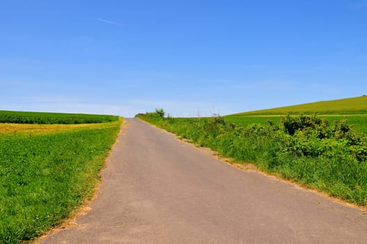 lonely road