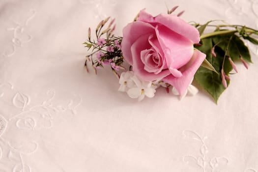 rose with jasmine