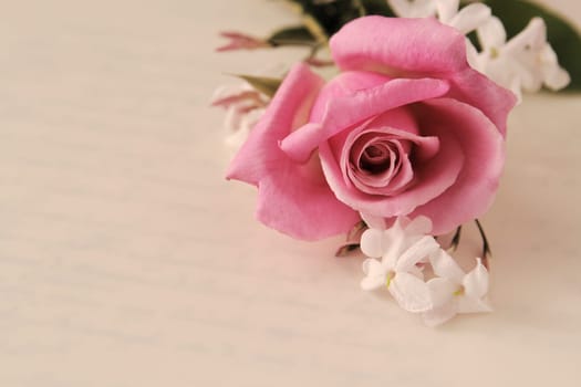 rose and jasmine
