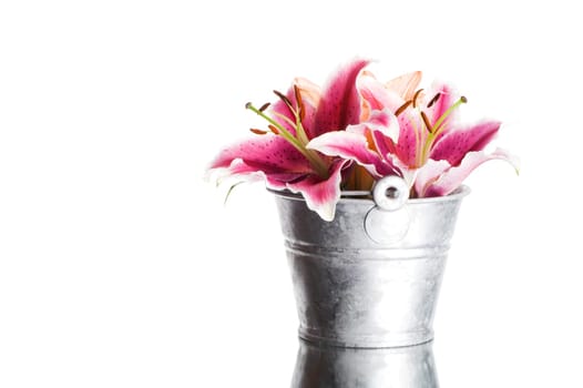 Lilies in a bucket