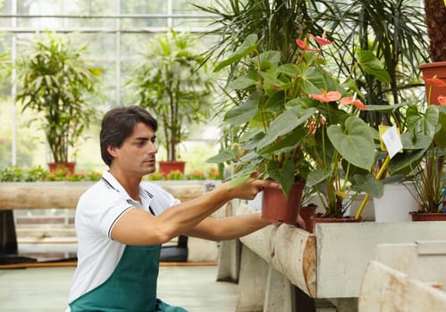 florist