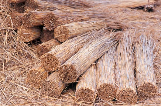 bundled reeds - thatch