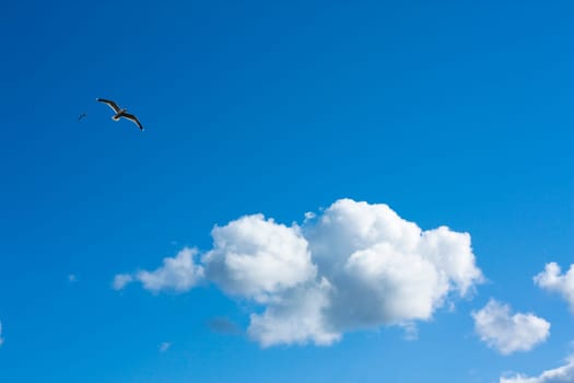 sky or heaven