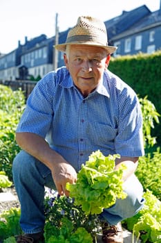 Senior in the garden