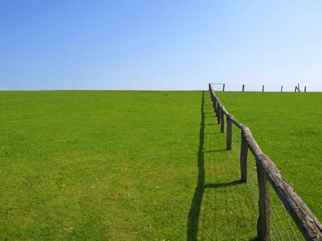 fence