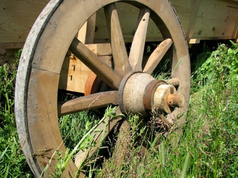 Wooden wagon wheel