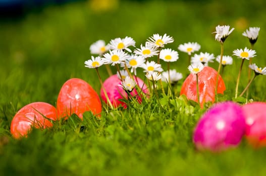 Daisies and Easter eggs