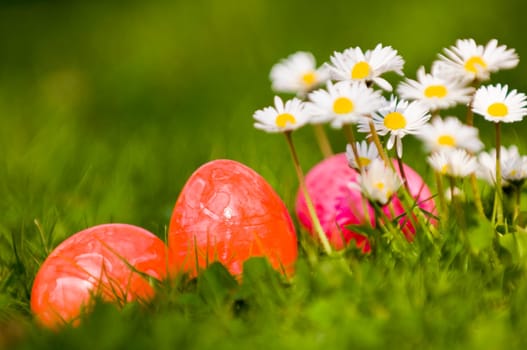 Daisies and Easter eggs