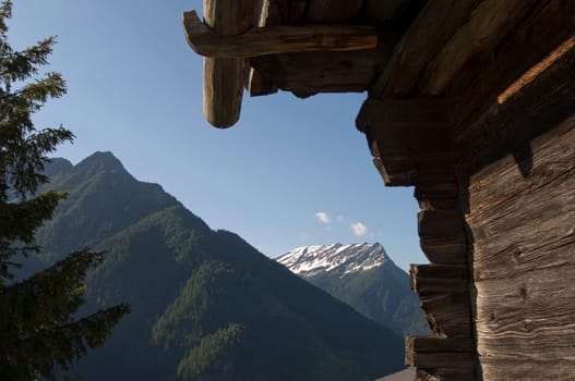 Living in the Alps