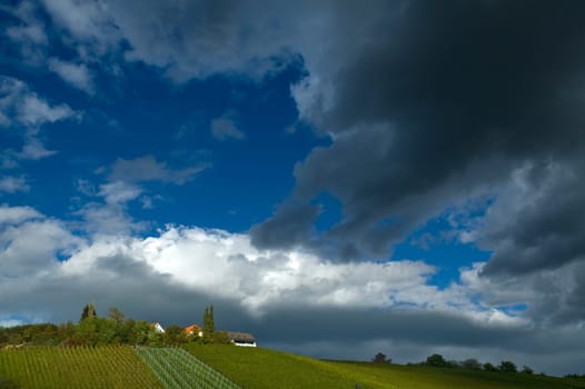 Storm clouds over a vineyard