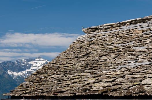 Roof over the landscape
