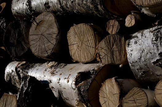 Logs