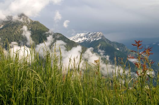 Alpine landscape