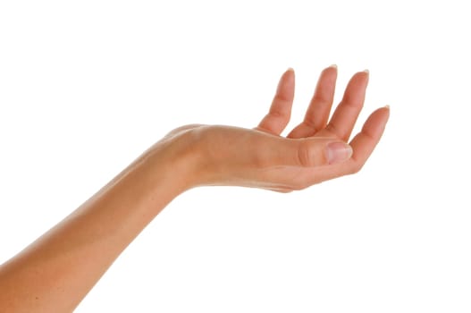 (hand open or hand background) without door without lid without cap without bag without compass