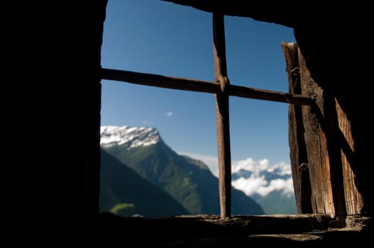 Window with a view