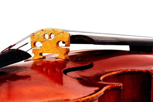 fiddle bridge