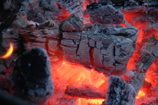 Embers of Fire