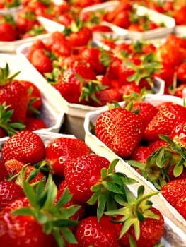 Strawberries
