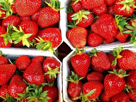 Strawberries