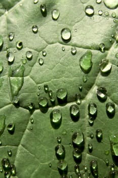 After rain