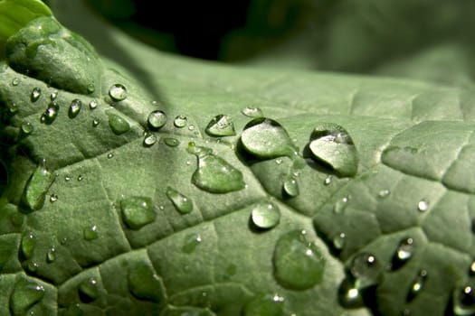 After rain