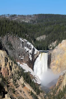 Yellowstone National Park - lower falls
