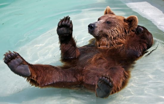Relax