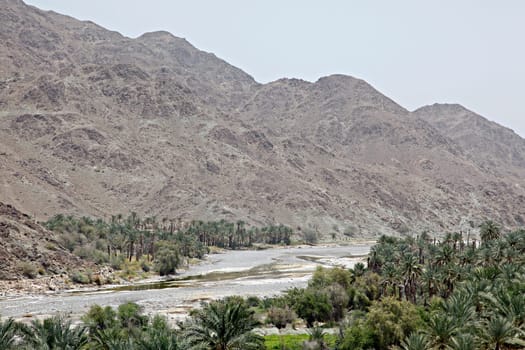 Oman