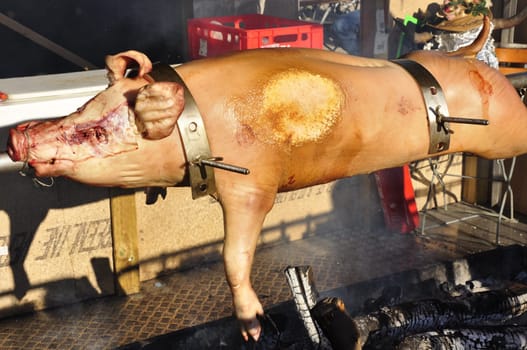 suckling pig
