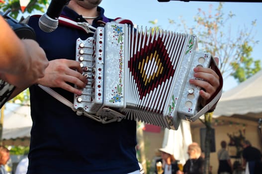 Accordionist