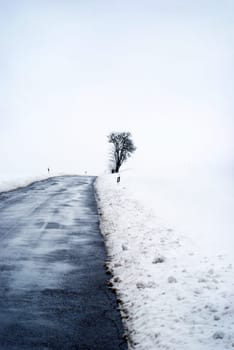winter or winter snow or winter ice or winter deep snow