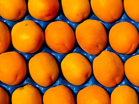 Apricots