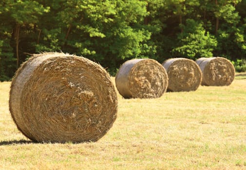 bale