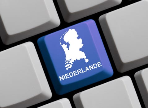The Netherlands on the Internet
