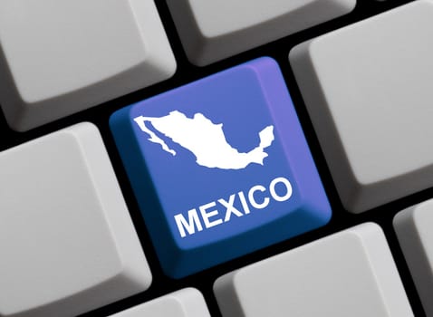 Mexico on the Internet